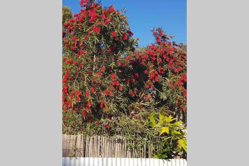 Leeward 'Tranquil Beachfront' Kingscote Buitenkant foto